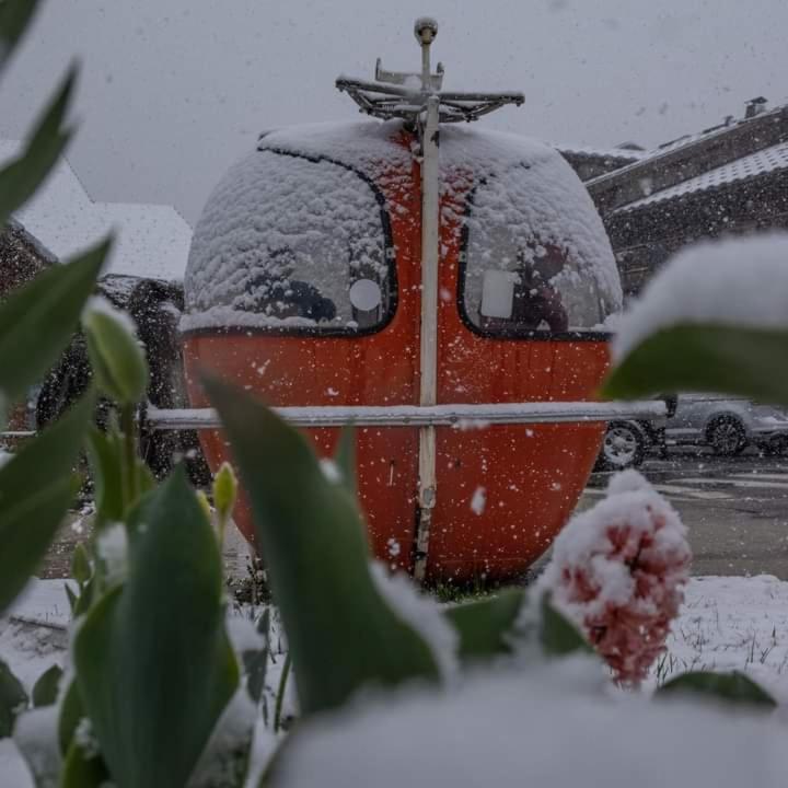 Calme Et Serenite - Etablissement Classe Chalet Sixt
